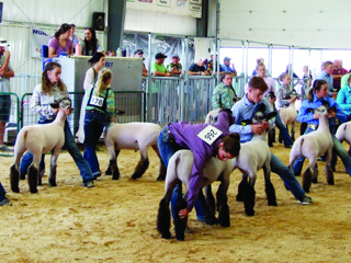 Madison Co Fair